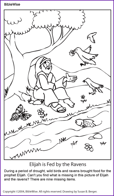 Coloring Elijah And The Ravens Kids Korner Biblewise